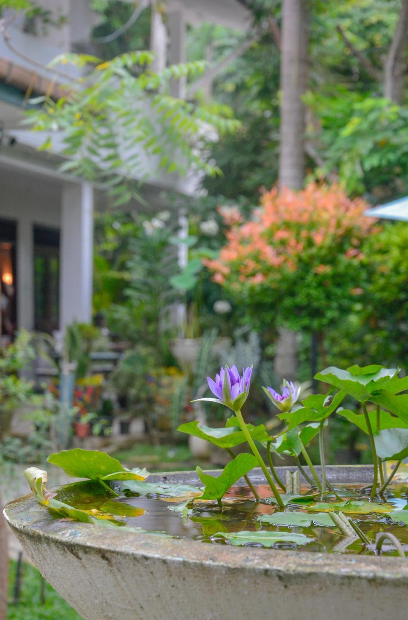 Palm Garden Guest House Галле Экстерьер фото