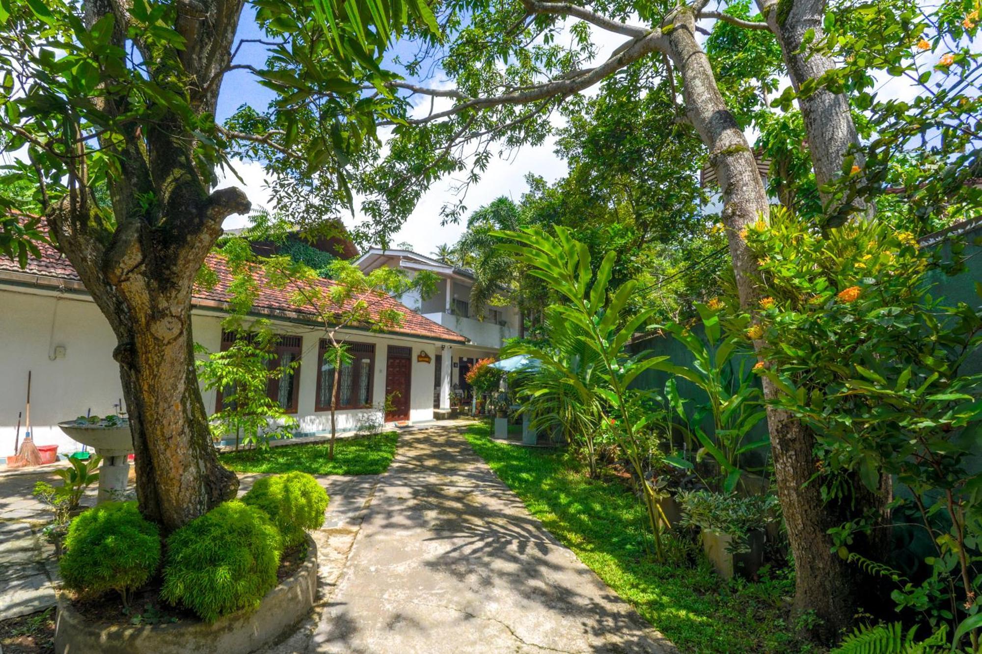 Palm Garden Guest House Галле Экстерьер фото